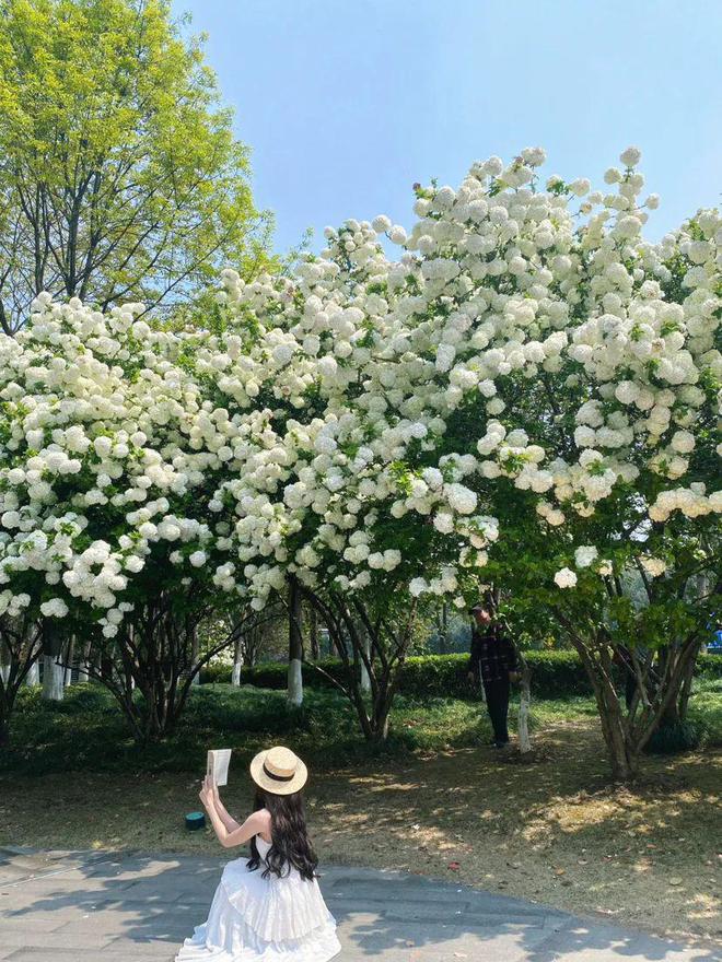 州将一夜暴跌10℃！凯发K8国际大转折杭(图6)