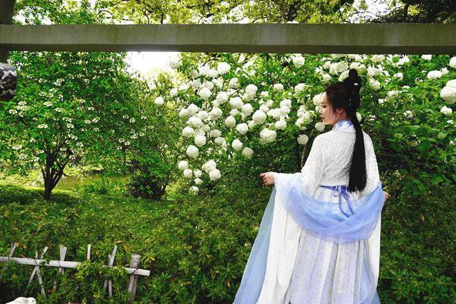 州将一夜暴跌10℃！凯发K8国际大转折杭(图7)
